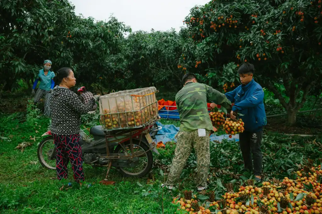 体感游戏机技术迭代对电玩城运营效率的提升分析