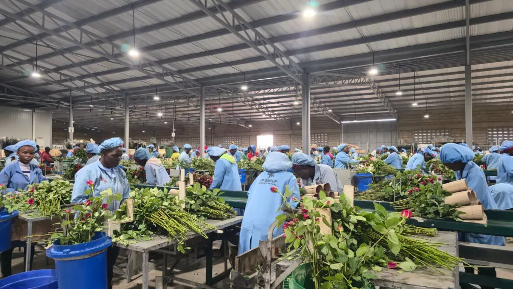 体感游戏机在电玩城与家庭娱乐中心的应用方案设计